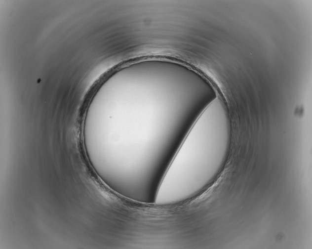 X0000091291119200708101020