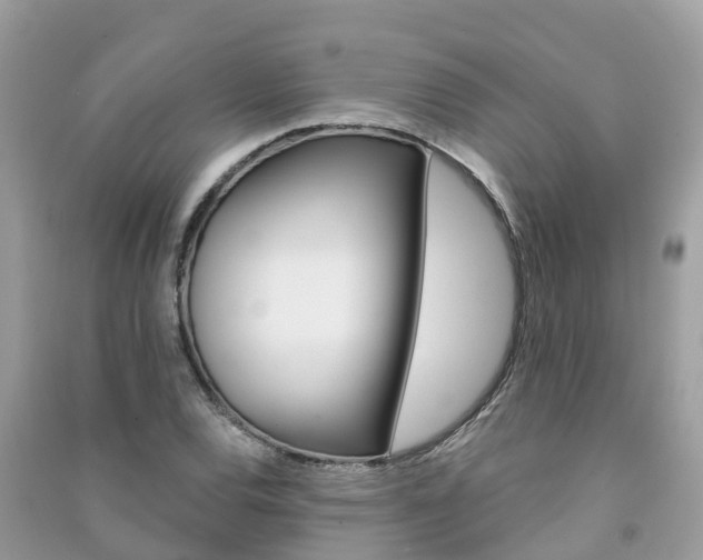 X0000091291120200708101020