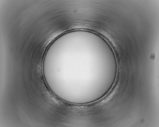 X0000091291121200708101020