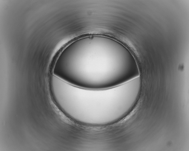 X0000091291122200708101020