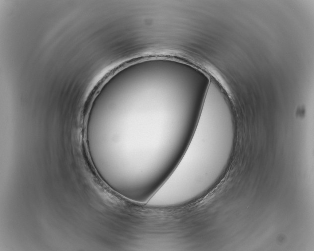 X0000091291124200708101020