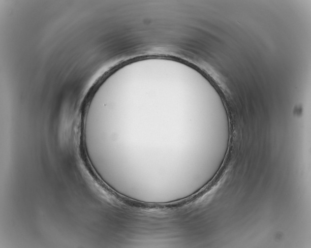 X0000091291126200708101020