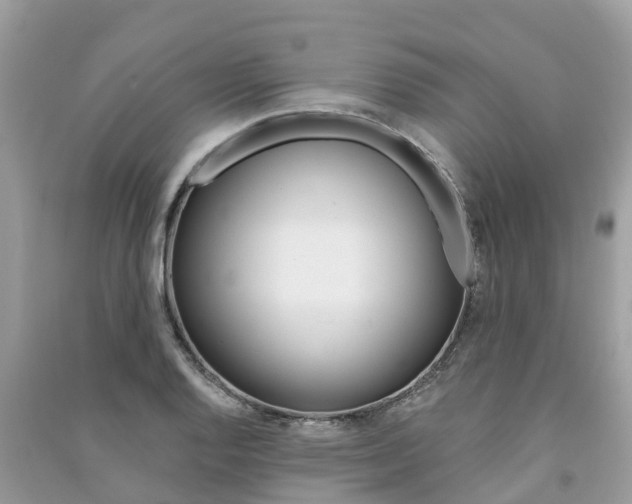 X0000091291128200708101020