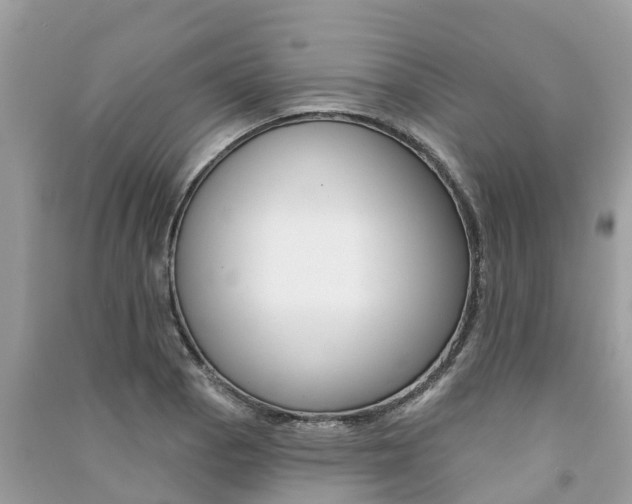 X0000091291129200708101020