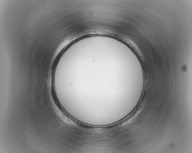 X0000091291130200708101020