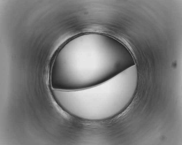 X0000091291131200708101020