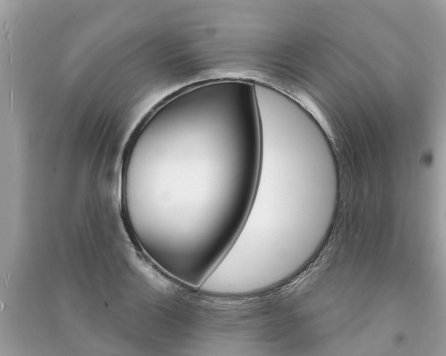 X0000091291132200708101020