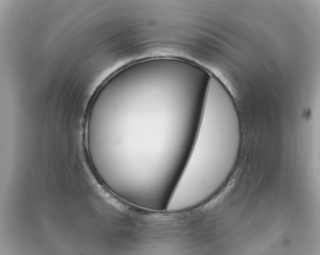 X0000091291134200708101020