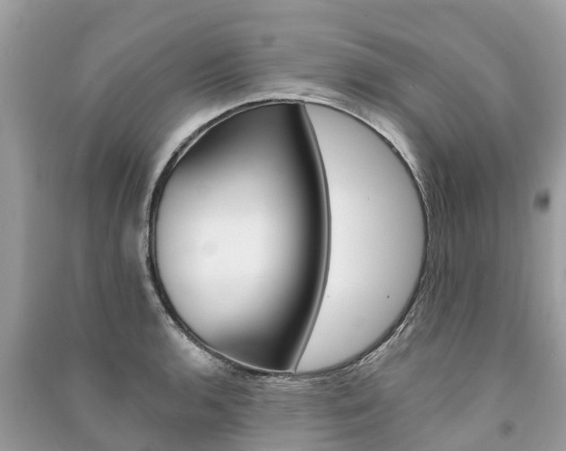 X0000091291136200708101020