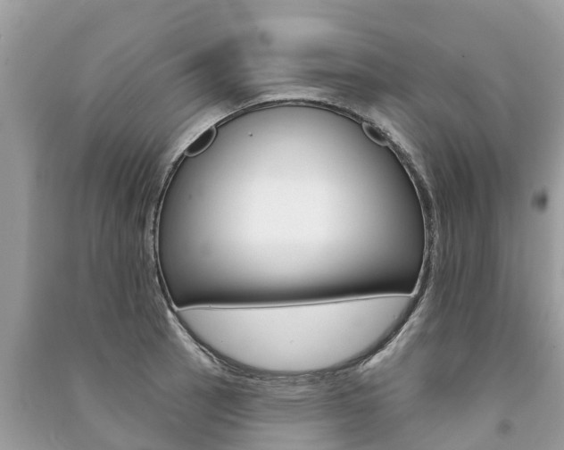 X0000091291137200708101020