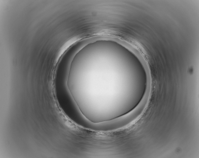 X0000091291138200708101020