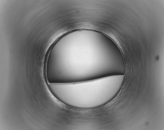 X0000091291139200708101020