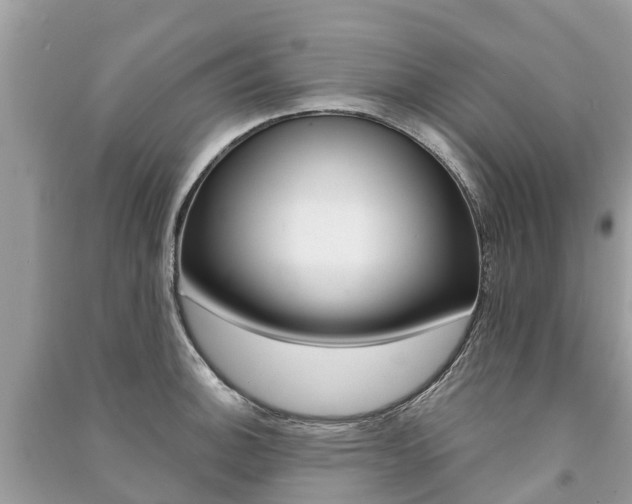 X0000091291140200708101020