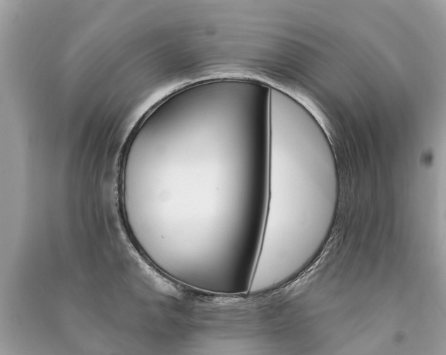 X0000091291142200708101020