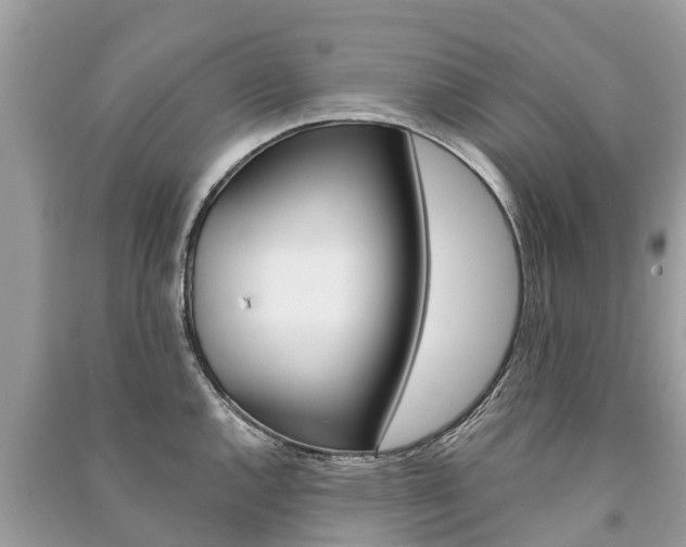 X0000091291144200708101021