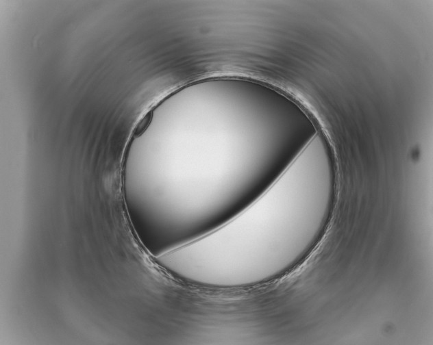 X0000091291145200708101021
