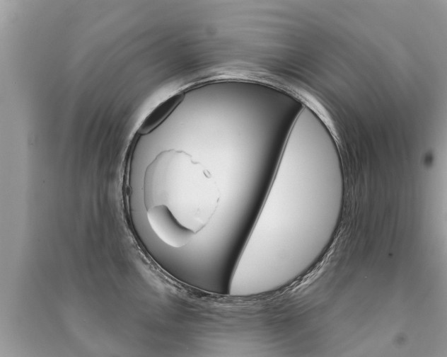 X0000091291146200708101021