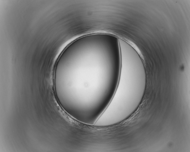 X0000091291148200708101021