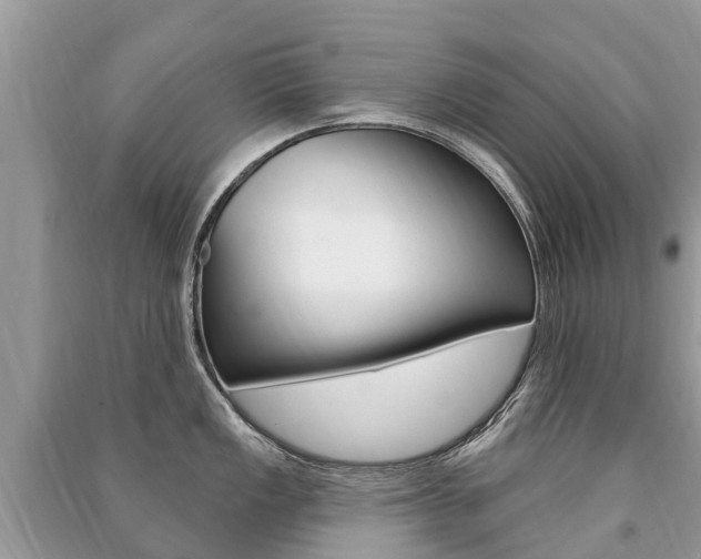 X0000091291149200708101021
