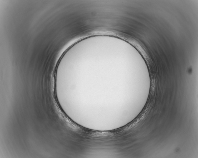 X0000091291150200708101021