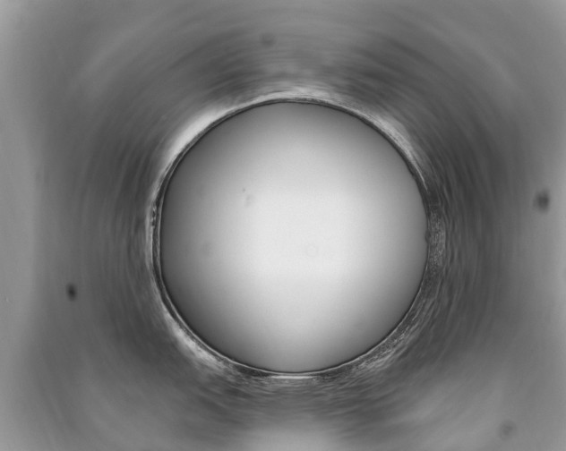 X0000091291151200708101021