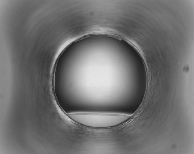 X0000091291152200708101021