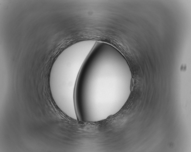 X0000091291153200708101020
