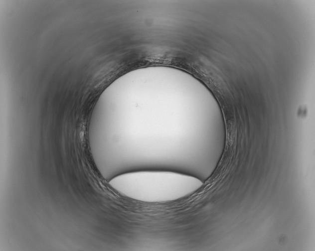 X0000091291154200708101020