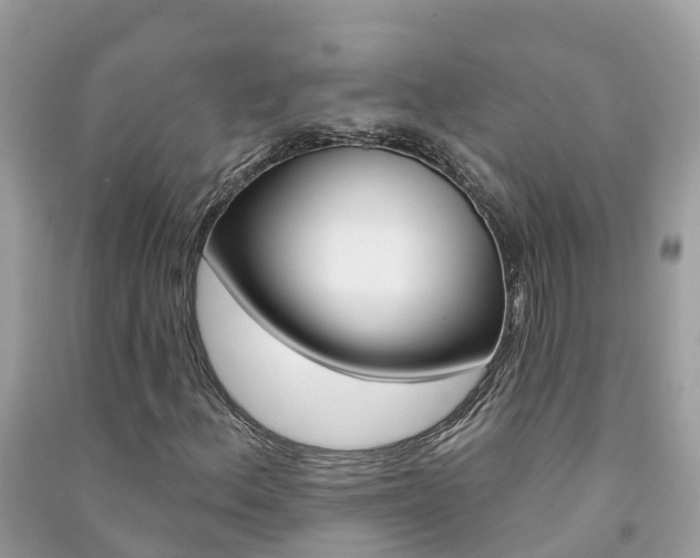 X0000091291156200708101020