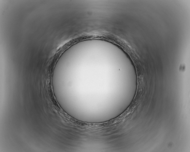 X0000091291158200708101020