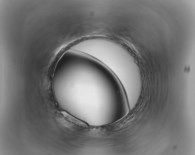 X0000091291160200708101020