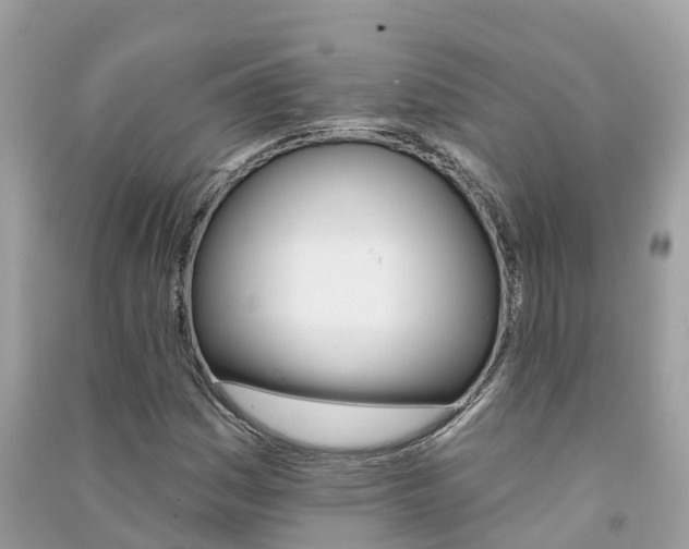 X0000091291161200708101020