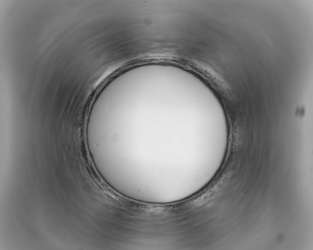 X0000091291162200708101020