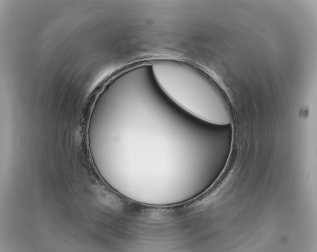 X0000091291163200708101020