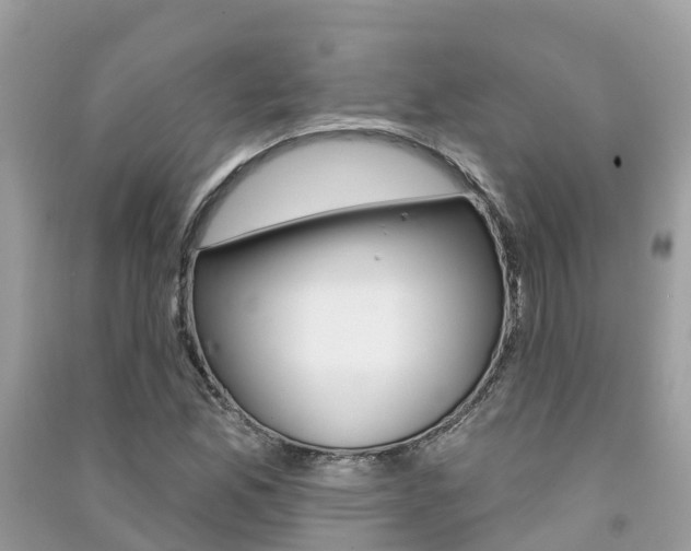 X0000091291165200708101020