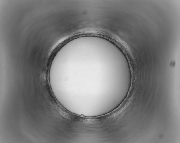 X0000091291166200708101020