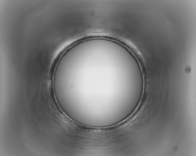 X0000091291167200708101020