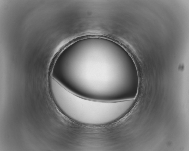 X0000091291168200708101020