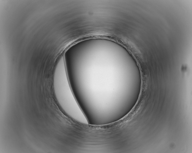 X0000091291169200708101020