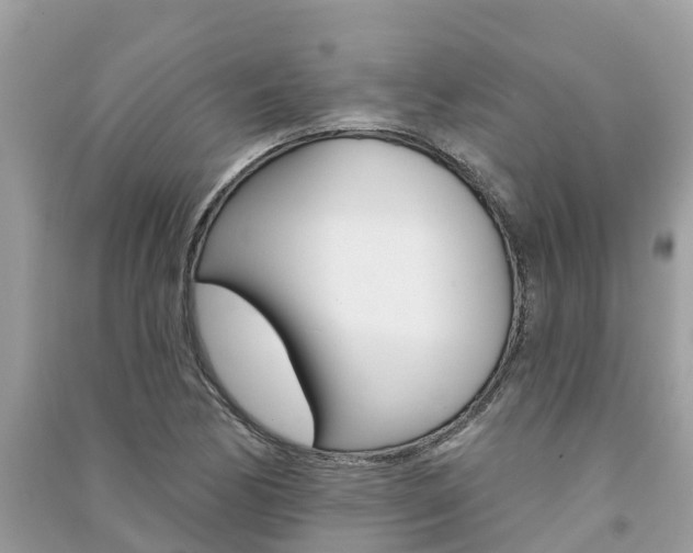 X0000091291170200708101020
