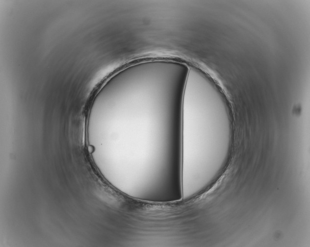 X0000091291171200708101020
