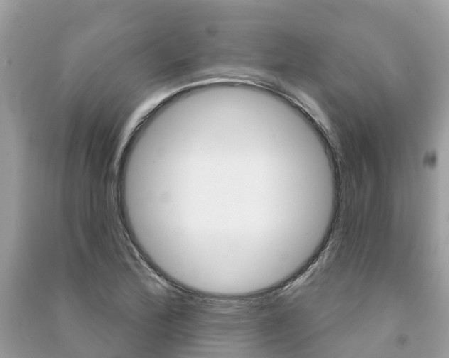 X0000091291172200708101020