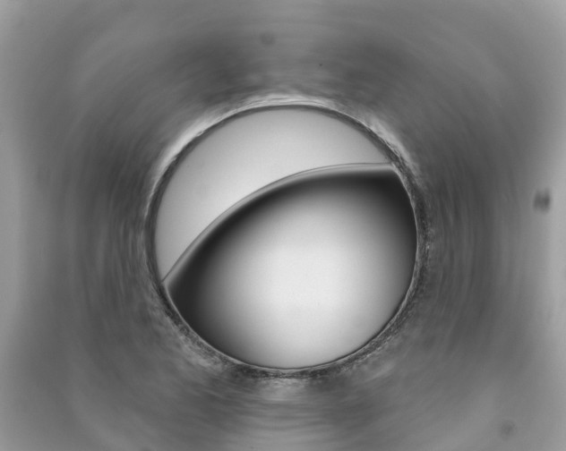 X0000091291173200708101020