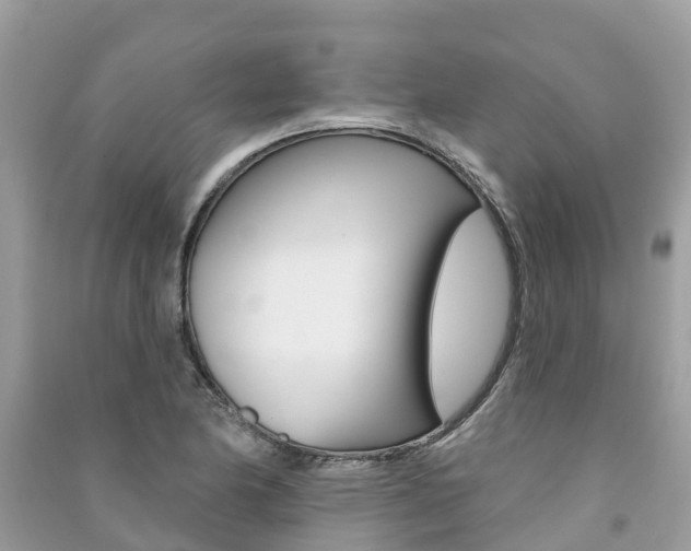 X0000091291174200708101020