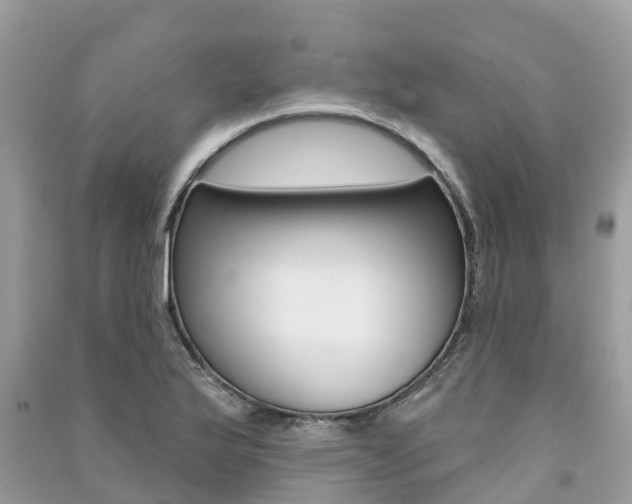 X0000091291175200708101020