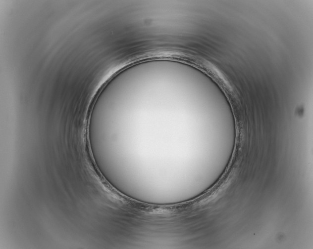 X0000091291178200708101020