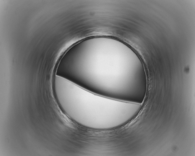 X0000091291179200708101020
