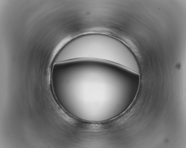 X0000091291180200708101020