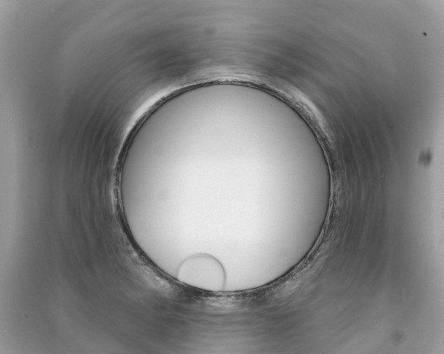 X0000091291182200708101019