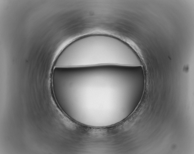 X0000091291183200708101019
